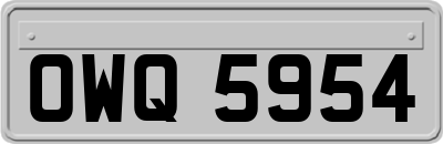 OWQ5954