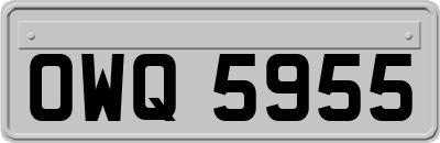 OWQ5955