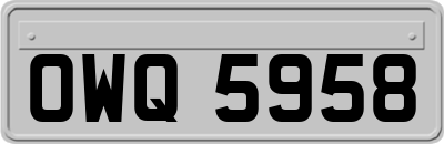 OWQ5958