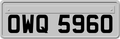 OWQ5960