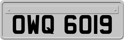 OWQ6019