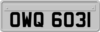 OWQ6031