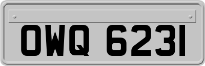 OWQ6231