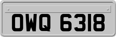 OWQ6318