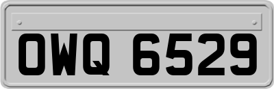 OWQ6529