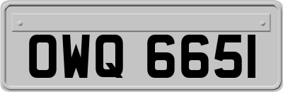 OWQ6651