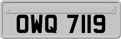 OWQ7119