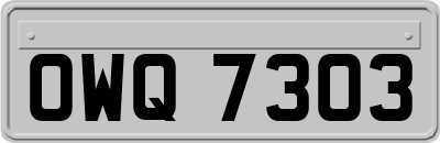 OWQ7303