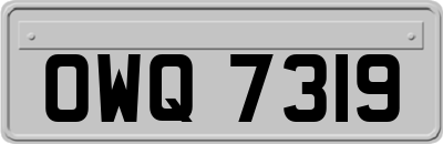 OWQ7319