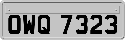 OWQ7323