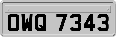 OWQ7343