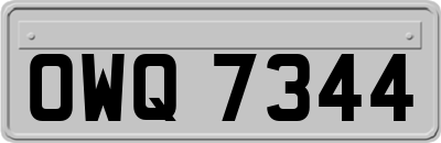 OWQ7344
