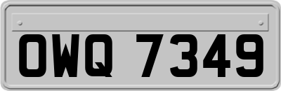 OWQ7349