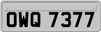 OWQ7377