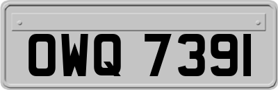 OWQ7391