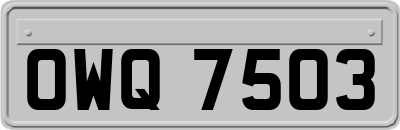 OWQ7503