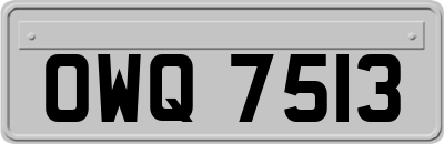 OWQ7513