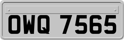 OWQ7565