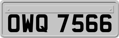 OWQ7566