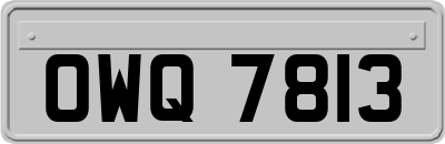 OWQ7813