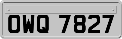 OWQ7827