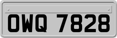 OWQ7828