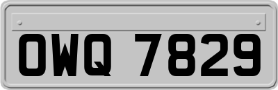 OWQ7829