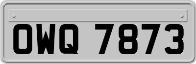 OWQ7873