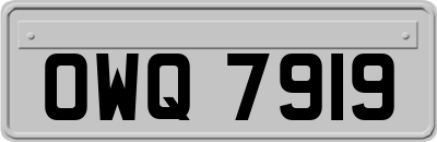 OWQ7919
