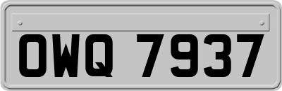 OWQ7937