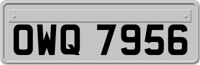 OWQ7956
