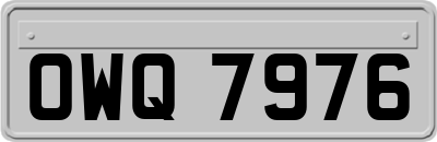 OWQ7976