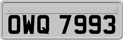 OWQ7993