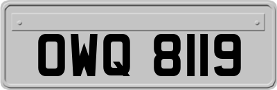 OWQ8119
