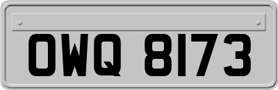 OWQ8173
