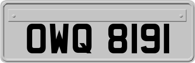 OWQ8191