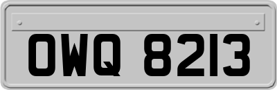 OWQ8213