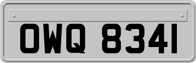 OWQ8341
