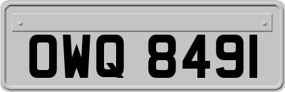 OWQ8491