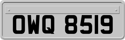 OWQ8519