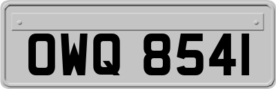 OWQ8541