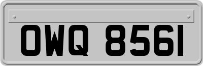 OWQ8561