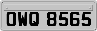 OWQ8565