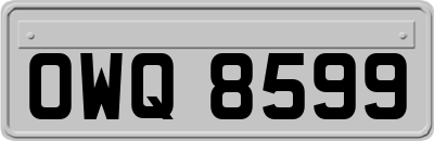 OWQ8599