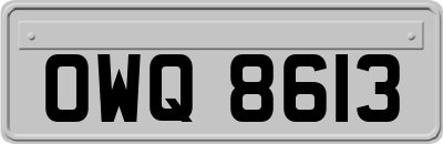 OWQ8613