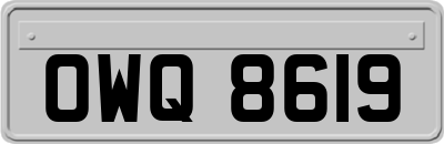 OWQ8619