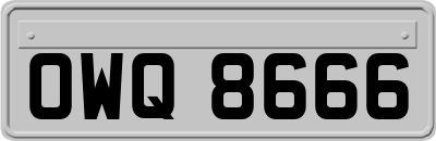 OWQ8666