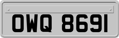 OWQ8691