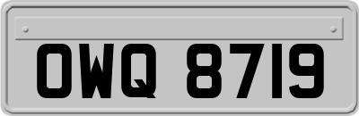 OWQ8719