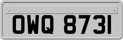 OWQ8731